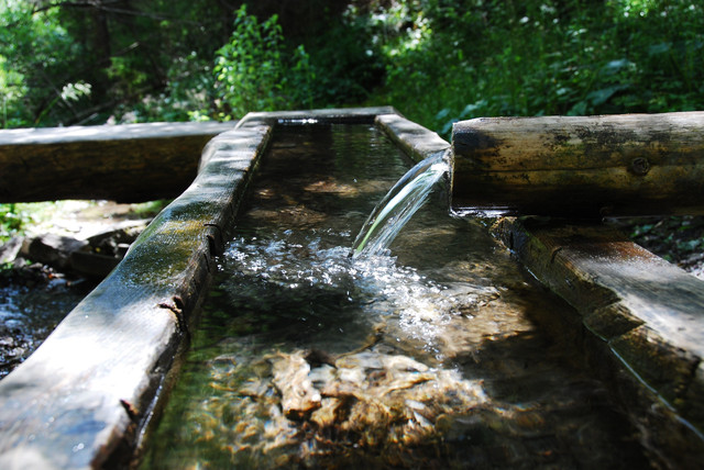 Mengenal Coliform: Pengertian dan Tempat Ditemukannya Coliform