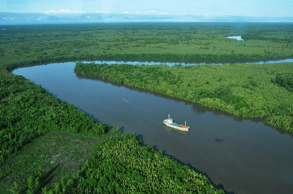 landscape-mangrove-forest-river-teluk-600nw-1767546743. Sumber: Shutterstock/Bastian AS