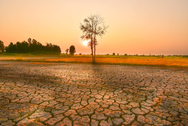 Ilustrasi El Nino. Foto: Neenawat Khenyothaa/Shutterstock