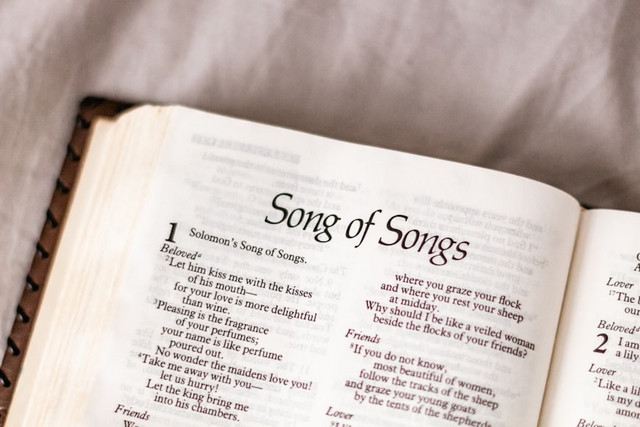 Ilustrasi Lirik Lagu Redred Cortis. Unsplash.com/Sincerely Media