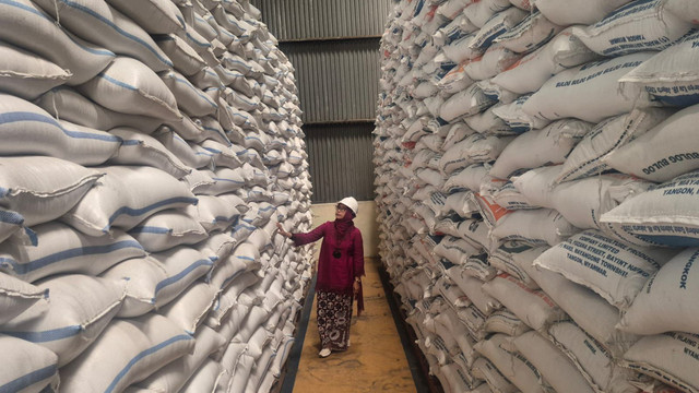 Pemimpin Wilayah Perum Bulog Kanwil Jateng Sri Muniati di Semarang saat mengecek stok beras di Gudang Bulog Semarang.  Foto: Dok. Istimewa