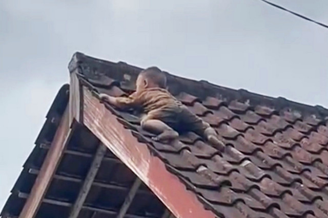 Seorang balita berusia 2 tahun di Kelurahan Gonjak, Kecamatan Praya, Lombok Tengah, memanjat hingga ke atas atap rumahnya pada Selasa (21/4/2026).  Foto: Dok. Istimewa