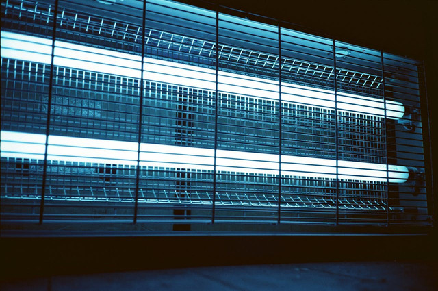 Ilustrasi lampu UV terbaik. Foto: Pexels