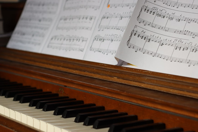 Ilustrasi Lagu bertangga nada pelog memiliki ciri khas . Foto: Unsplash/Joachim Schnürle