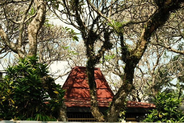 Ilustrasi Rumah Adat Joglo adalah, Foto:Unsplash/Abdullah Ammar