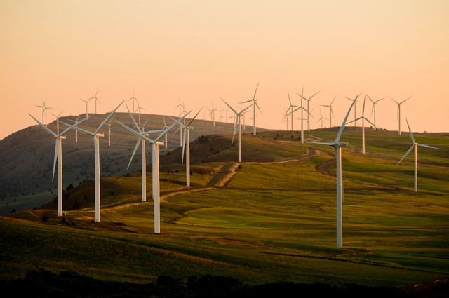 Ilustrasi mengapa saat ini belum semua wilayah di dunia menggunakan energi terbarukan. Foto: Unsplash.com/American Public Power Association