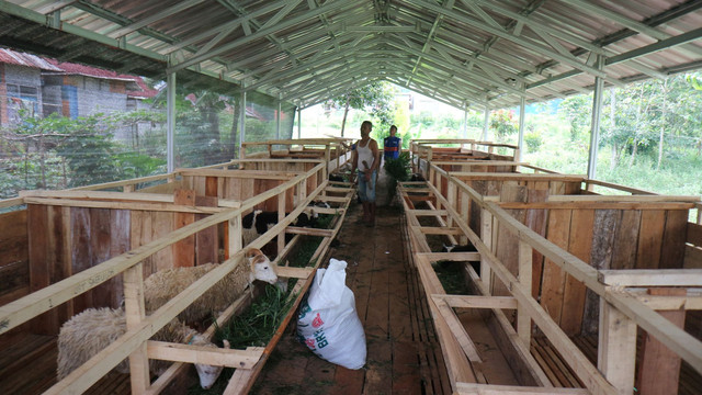 DT Peduli bangun kandang domba untuk kelompok ternak binaan di Kampung Haji BPKH, Ds. Nyalindung, Kab. Sukabumi (Sumber : DT Peduli)