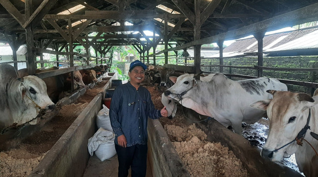 Survey Hewan Kurban di Lampung Tengah, pastikan kondisi kesehatan dan ketersediaan hewan (Sumber : DT Peduli)