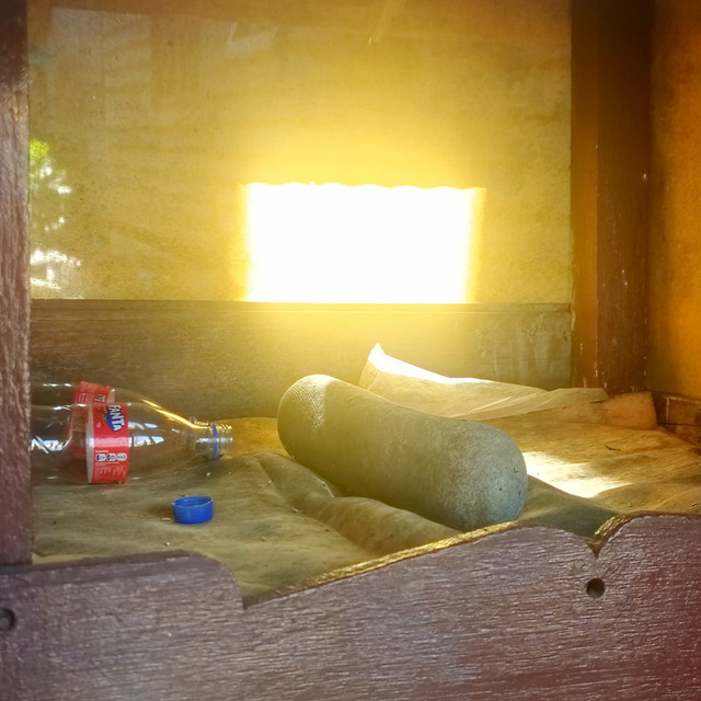 Batu Busu Sambun di Desa Tarantang, Kapuas. Foto: Dokumentasi pribadi