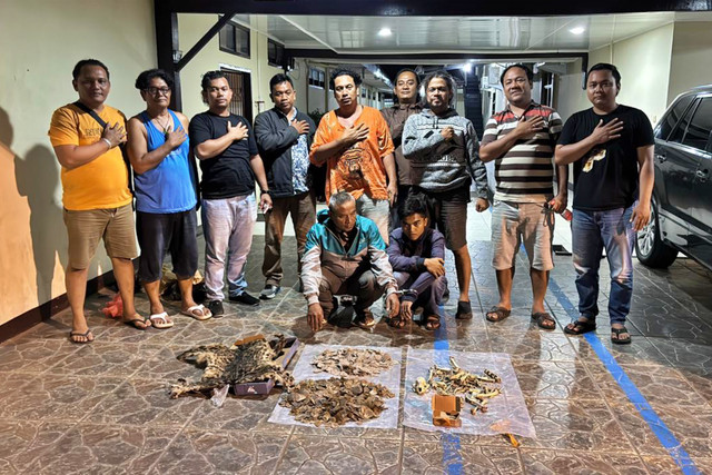 Barang bukti kulit Harimau Dahan dan sisik Tenggiling yang berhasil diamankan Polres Padangsidimpuan. Foto: Dok. Polres Padangsidimpuan