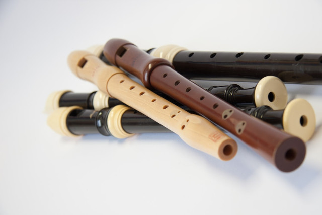 Ilustrasi Recorder Dimainkan dengan Cara Apa,Foto:Unsplash/Dorothee Kraemer