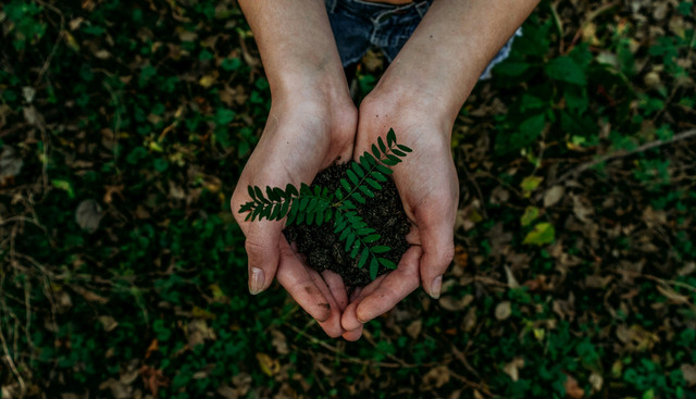 Sumber: Unsplash.com