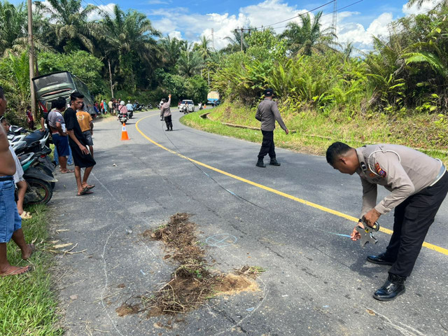 Kondisi bus ALS usai menabrak pengendara motor di Jalan Lintas Umum Kabupaten Pasaman Barat, Sumatera Barat (Sumbar), Sabtu (9/5). Satu orang tewas dalam insiden tersebut. Foto: Dok. Polres Pasaman Barat