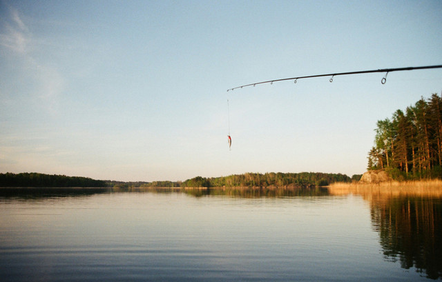 Ilustrasi mancing. Foto: Andrey Trusov/Unsplash
