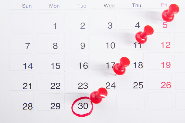 Ilustrasi apakah ada cuti bersama Mei 2026. Foto: Unsplash.