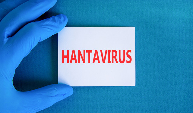 Ilustrasi Hantavirus. Foto: Dmitry Demidovich/Shutterstock