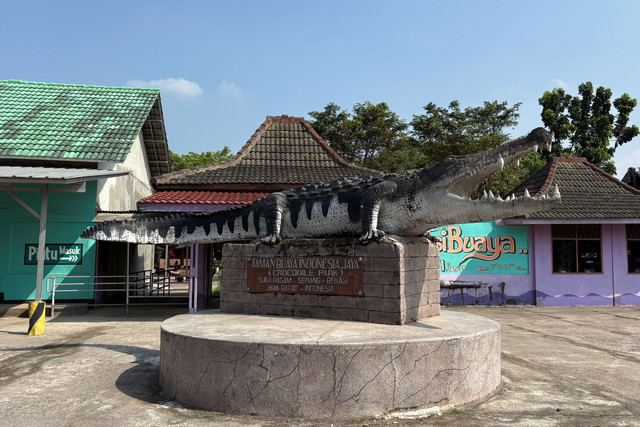 Taman Buaya Indonesia Jaya yang terletak di Cibarusah, Kabupaten Bekasi, Jawa Barat. Foto: Gitario Vista Inasis/kumparan