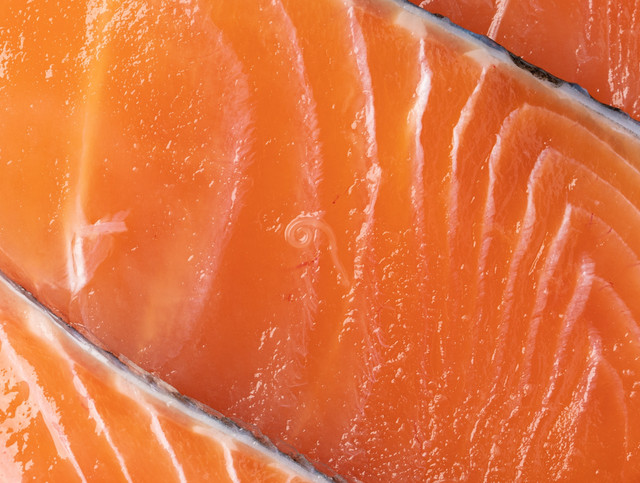 Ilustrasi Parasit di Salmon. Foto: Hanasaki/Shutterstock