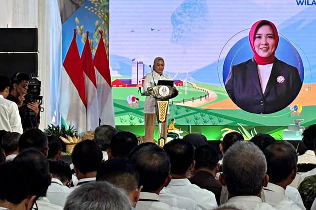 Deputi Gubernur BI, Aida S. Budiman saat acara GPIPS di Sidoarjo, Jawa Timur. Foto: Moh Fajri/kumparan