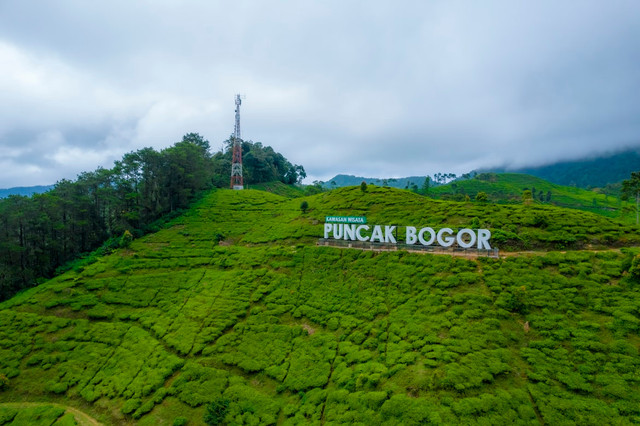 Ilustrasi jadwal one way Puncak hari ini, foto: Unsplash/Ammar Andiko
