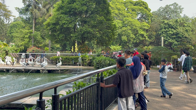 Suasana Taman Margasatwa Ragunan, Jakarta Selatan, saat long weekend Hari Raya Kenaikan Yesus Kristus, Jumat (15/5/2026). Foto: Nauval Pratama/kumparan