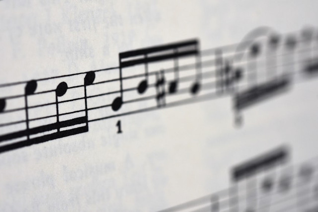 Ilustrasi lirik lagu Say No Tasya Kamila. Unsplash.com/Mike Castro Demaria