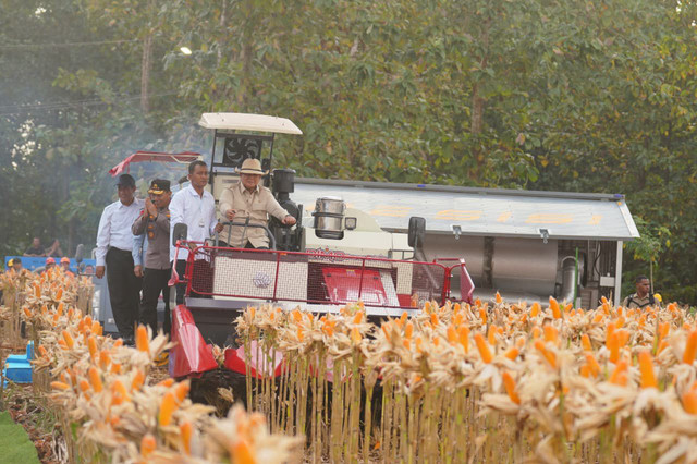 Presiden Prabowo Subianto dan Kapolri Jenderal Listyo Sigit Prabowo saat panen raya jagung. Foto: Dok. Polri