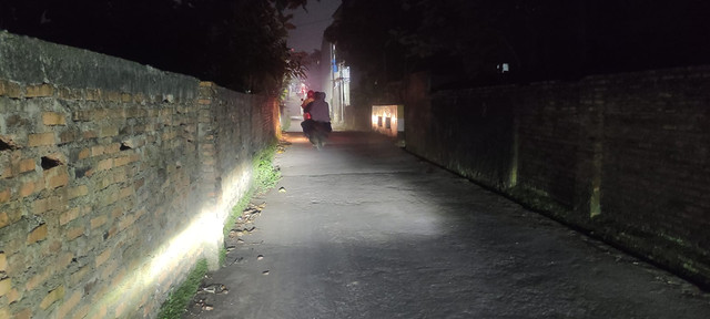 Lokasi ditemukannya rusa-rusa yang berkeliaran di Kabeda, Beji, Depok. Foto: kumparan