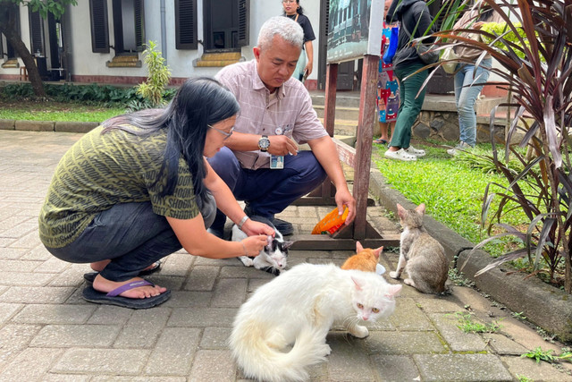 Sejumlah pengunjung memberi makan kucing liar di kawasan Lawang Sewu Semarang. Foto: Dok. Istimewa