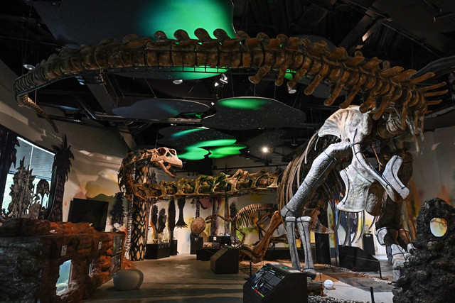 Model kerangka Nagatitan chaiyaphumensis, dinosaurus terbesar di Thailand, difoto di Museum Thainosaur di Bangkok, Thailand, Jumat (15/5/2026). Foto: Lillian SUWANRUMPHA / AFP