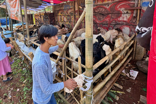 Mamo (46), pedagang hewan kurban di Pasar Minggu, Jakarta Selatan. Foto: Argya Maheswara/kumparan