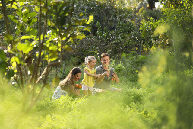 Padma Resort Ubud menghadirkan berbagai pengalaman seru dan edukatif untuk liburan keluarga. Foto: dok. Padma Resort Ubud.