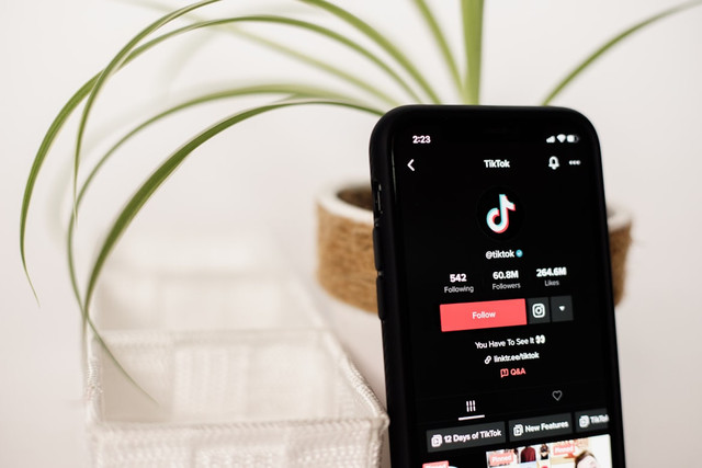 ilustrasi cara menghapus riwayat tontonan di TikTok. Unsplash/collabstr