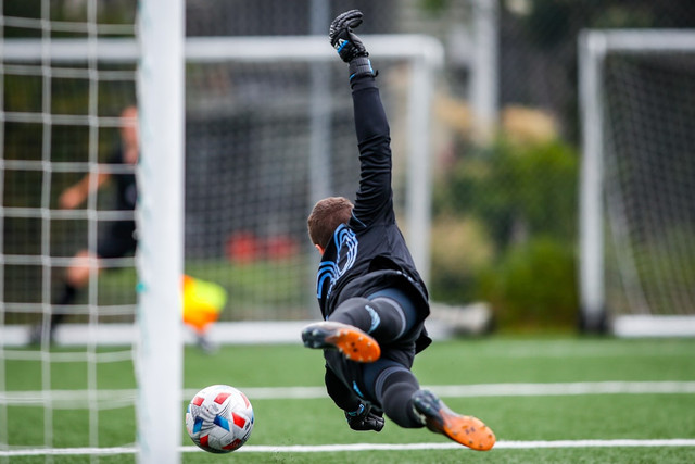 Ilustrasi Siapa kiper Prancis saat mereka juara di Piala Dunia 2018. Foto: Unsplash.com/My Profit Tutor