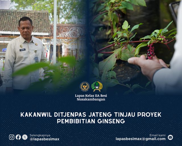 Kakanwil Ditjenpas Jateng Tinjau Proyek Pembibitan Ginseng
