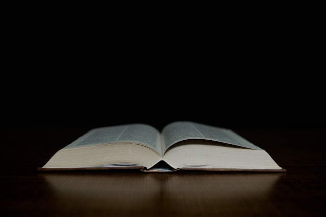 Ilustrasi bagaimana cara mengevaluasi isi dalam teks anekdot. Foto: Marjhon Obsioma / Unsplash