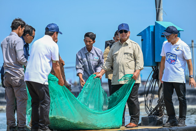 Presiden Prabowo Subianto (kedua kanan) didampingi Menteri Koordinator Bidang Pangan Zulkifli Hasan (kanan) menjaring udang saat panen raya udang di lokasi Tambak Budidaya Udang Berbasis Kawasan Kebumen, Jawa Tengah, Sabtu (23/5/2026). Foto: Galih Pradipta/ANTARA FOTO