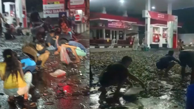 Ribuan ikan lele yang dimuat pakai mobil pikap jebol dan tumpah memenuhi semua lantai SPBU Cokro, Tulung, Klaten, Jateng, Jumat (22/5/2026) pukul 19.30 WIB.
 Foto: Dok. Istimewa