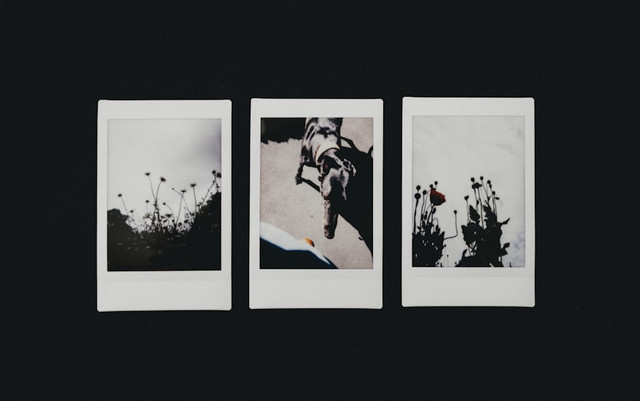 Ilustrasi Cara Mengecilkan Ukuran Foto, Unsplash/Annie Spratt