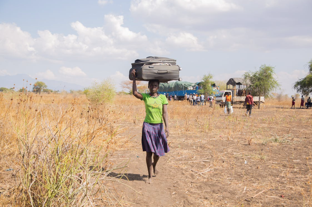 Ilustrasi migrasi. Foto: Speak Media Uganda/Pexels.