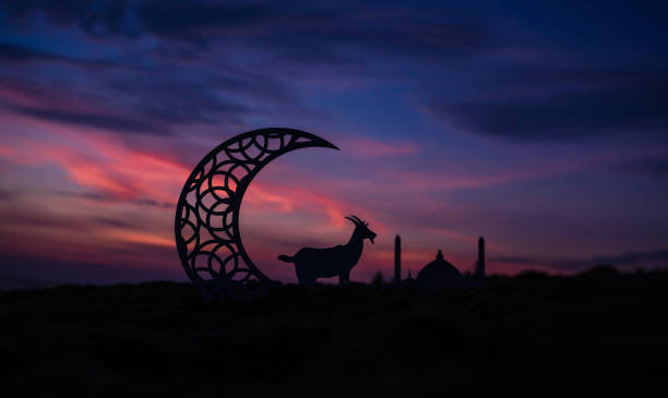 Ilustrasi Idul Adha 2026. Foto: Unsplash