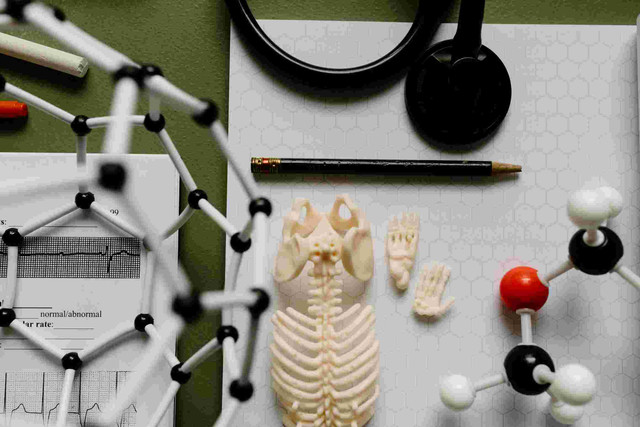 Ilustrasi Pendekatan Biologis dan Evolusioner. Gambar: Pexels.