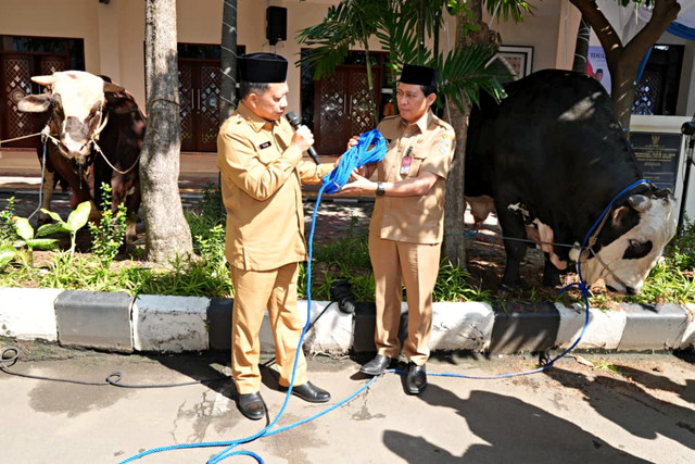 Mendagri Tito Karnavian serahkan ratusan hewan kurban serta minta ASN pantau kondusivitas warga saat libur Iduladha, Selasa (26/5/2026). Foto: Dok. Kemendagri