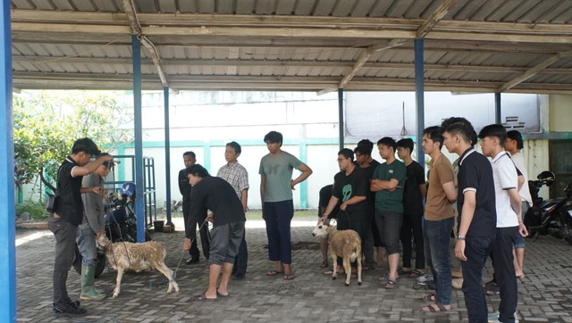 Pelatihan Kurban Uhamka, Mahasiswa Dibekali Teknik Penyembelihan Sesuai Syariat. Dokumentasi Uhamka