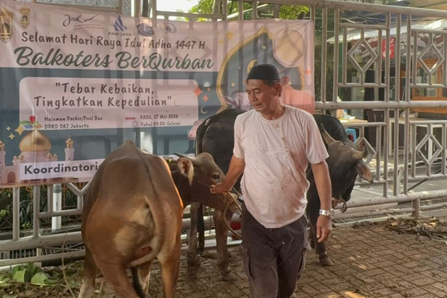 Iyung (64), penyembelih hewan kurban di kawasan Kebon Sirih, Gambir, Jakarta Pusat saat ditemui pada Rabu (27/5/2026). Foto: Jeni Ritanti/kumparan