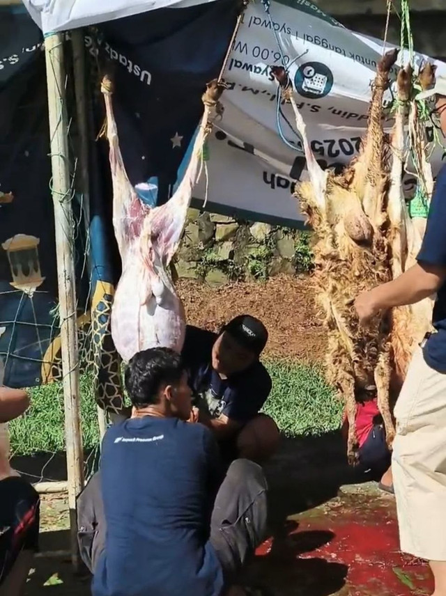 Aktivitas panitia kurban di masjid Kampung Curug, Kabupaten Bogor. Sumber: dokumentasi penulis.