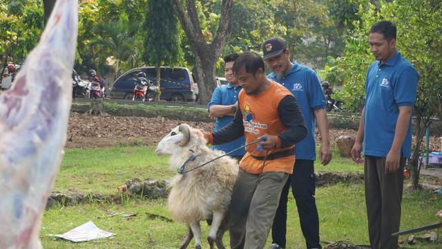 Tiga RS PKU Muhammadiyah di Jogja membiayai kurban seluruh pegawainya hingga menghabiskan biaya Rp4,5 milia. Foto: Dok. Istimewa
