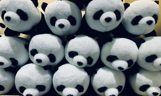 Ilustrasi Hello Panda x Haikyuu. Foto: Unsplash.com/Happy Lee