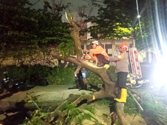 Petugas BPBD kabupaten Sumedang dan Tim Gabungan saat mengevakuasi pohon tumbang di Dusun Warung Kalde, Desa Cikeruh, Kecamatan Jatinangor, Kabupaten Sumedang, Senin (1/6/2026) malam. Foto: Dok. BPBD Kabupaten Sumedang
