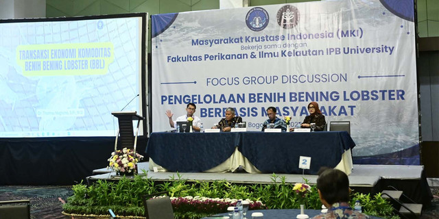 IPB University Dorong Pengelolaan Benih Bening Lobster Berbasis Masyarakat